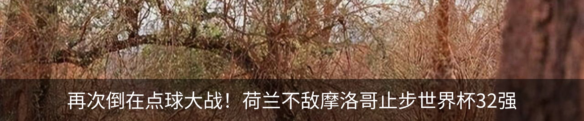 内页banner