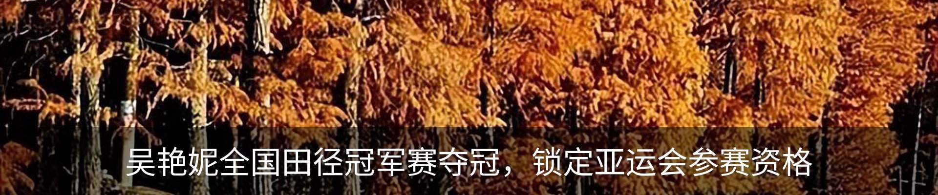 内页banner