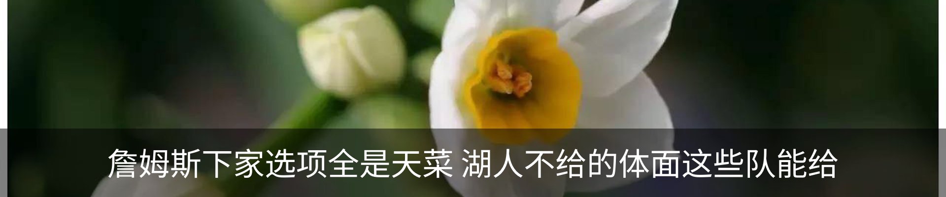 内页banner